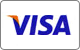 Pay with Visa